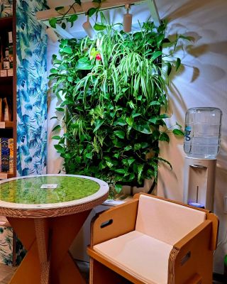 Vertical gardens 👀🌿 aneb “komu se nelení, tomu se zelení“ 😆 V prodejně @naturlandia.cz 👌 @mscichlid #hydroponicgarden...